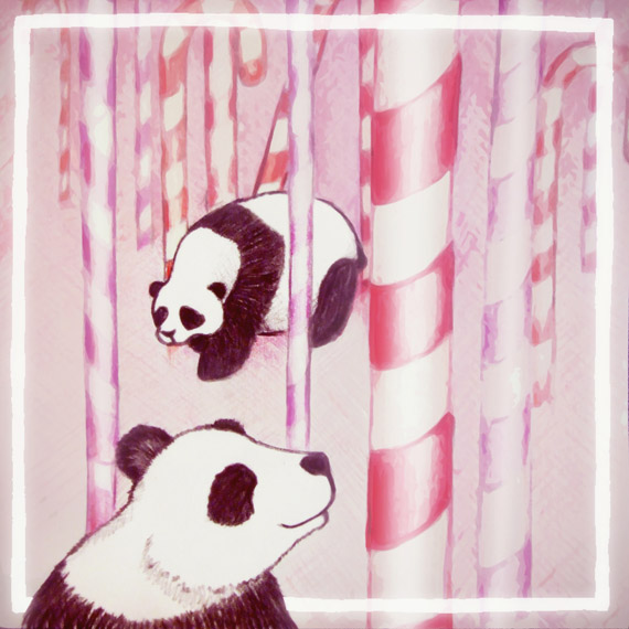 Panda Candy by Helen Askew