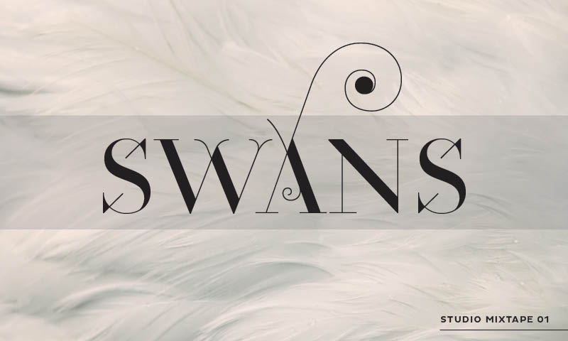 STUDIO MIXTAPE 01: SWANS